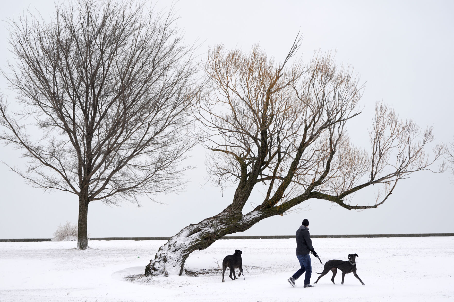 Winter Weather